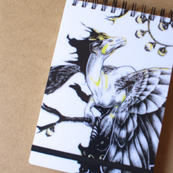 skicář pro Kayreu, uvnitř se čtvrtkami podle jejího výběru